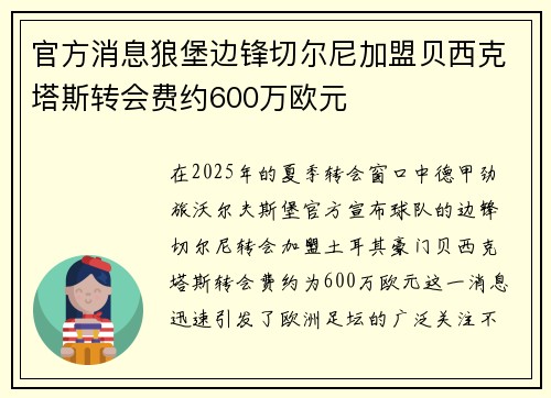 官方消息狼堡边锋切尔尼加盟贝西克塔斯转会费约600万欧元